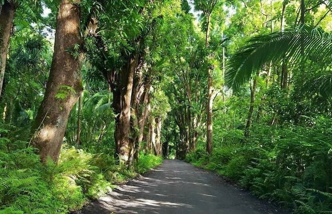 Maluhia Kahakai 2 Bedroom Condo by RedAwning - Foto 33