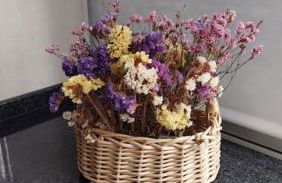 Guiki House - Foto 14