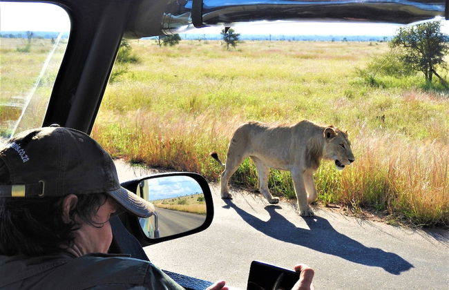 Braai Safaris Lodge - Foto 78