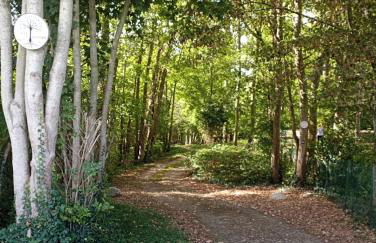 Gîte l'Olivianne - Foto 16