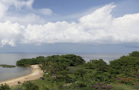 One Minute South - Photo 18