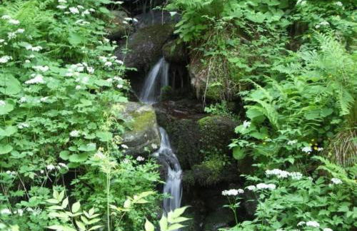 Holiday Home Quellenhof Kollnburg by Interhome - Foto 8