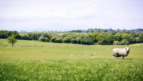 Dairyman's Cottage - Photo 5