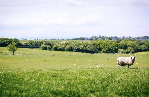 Dairyman's Cottage - Photo 5