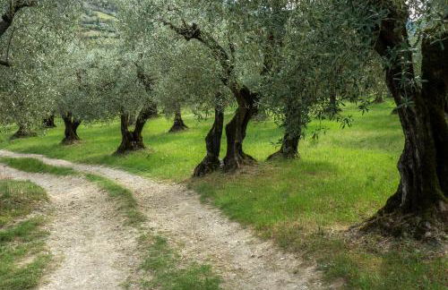 Gite de l'Ancienne Gare - Foto 16