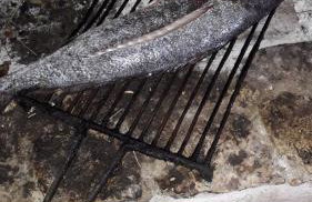 Apartments Marko Rava - Foto 7