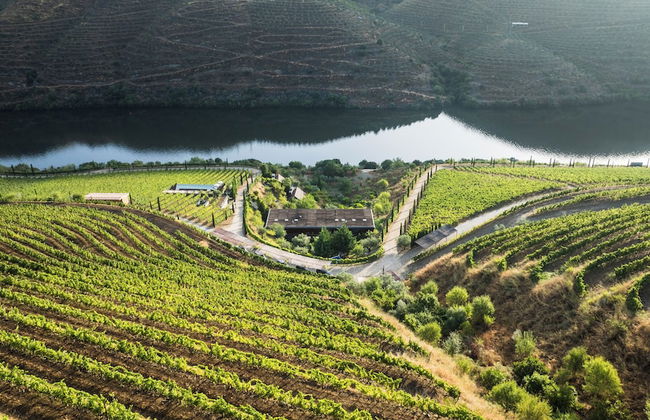 Casa do Rio Wine Hotel - Vallado - Foto 49