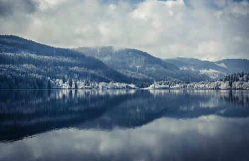 Ferienwohnung im Haus Rhea am Südhang- Feldberg- Falkau - Foto 14