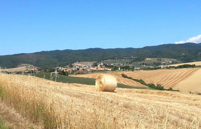 Residence Giuly Rosselmini - Foto 42