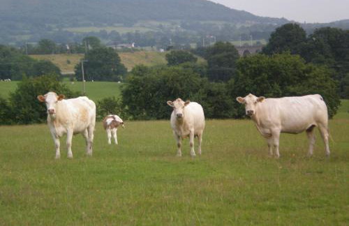 Farmhouse Cottage - Foto 5