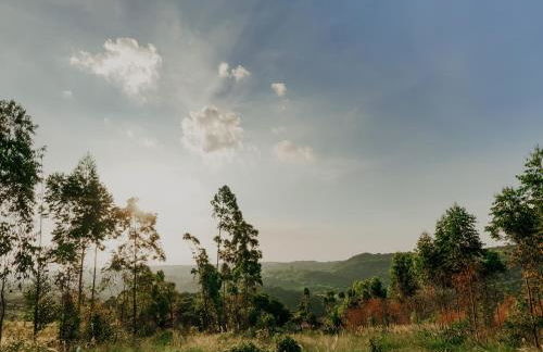 Cabana Jurupará - Foto 29