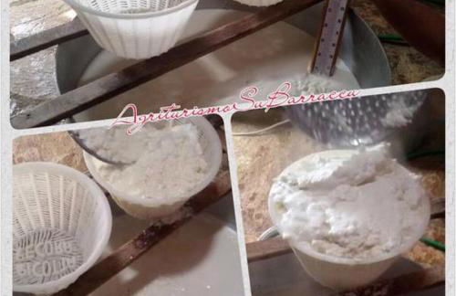 Agriturismo Su Barraccu - Foto 70