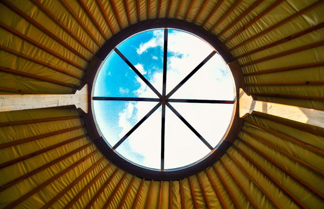 Old Kilmun House - Foto 67