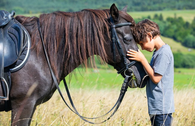 Końska Dolina - Photo 51