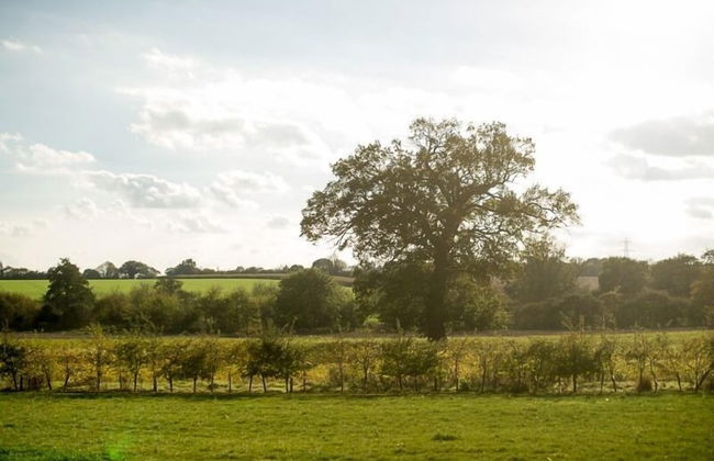 The White Horse Inn - Foto 48