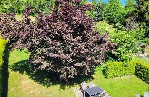 Ferienwohnung Forsthaus - Foto 18