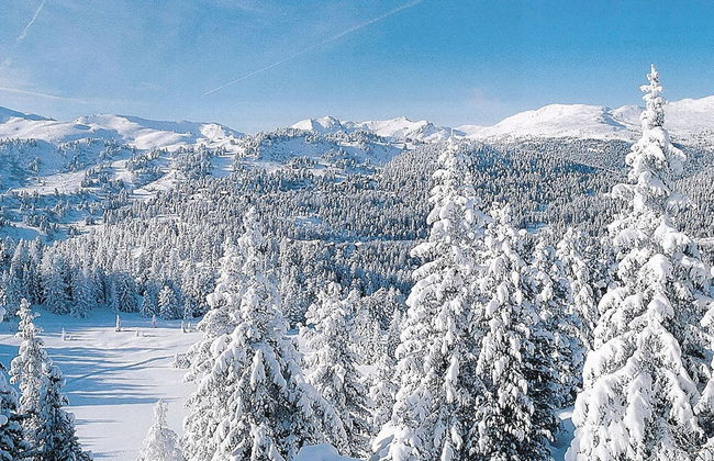 Chalet in Stadl an der Mur With Sauna - Foto 40