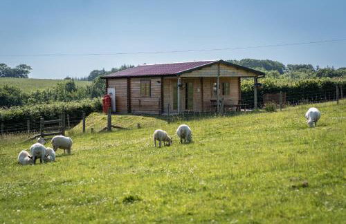 Moor View Cabin (Oak Tree Lane) - Foto 12