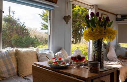 1 Bed Caravan Sleeps 2 -Dog Welcome -Free Parking - Photo 25