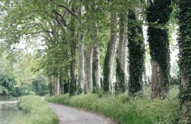 La Coulée Douce - Chez Antoine - Foto 11