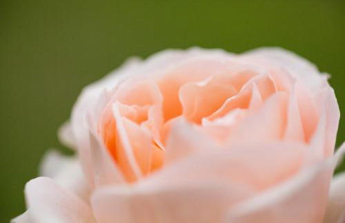 Agriturismo Il Cavicchio - Foto 71