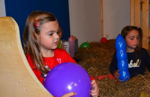 Bauernhof König - Foto 24