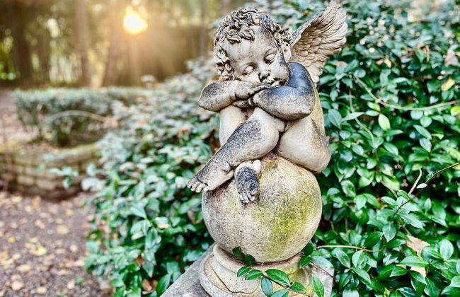 Ducks Country House - Foto 59