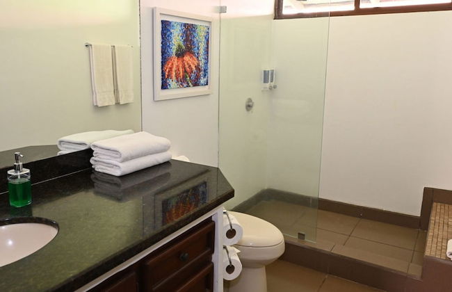 Playa Prieta Beachfront Villas - Photo 79