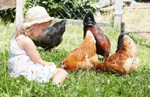 Ferienhof Ücker - Foto 28