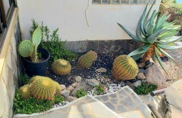 Bungalow Uno - Front Line of Ocean - Foto 7