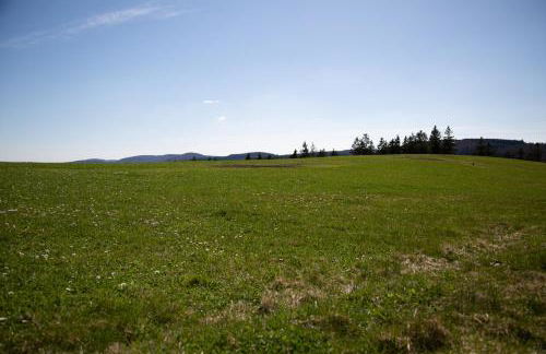 Sauerlandrefugium - Foto 28