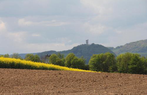 Ferienwohnung Brohltal-Aue - Foto 32