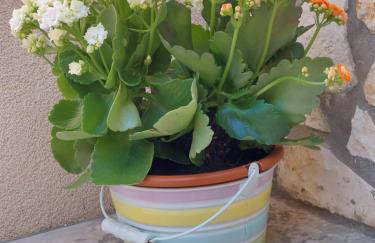 Holiday House Teza - Foto 9