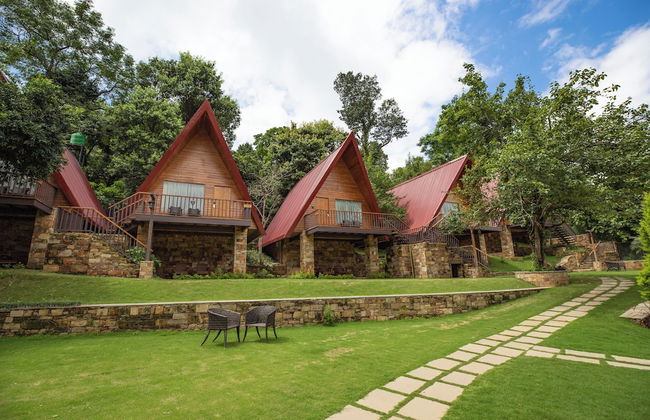 The Pear Orchard By Countryside - Foto 1