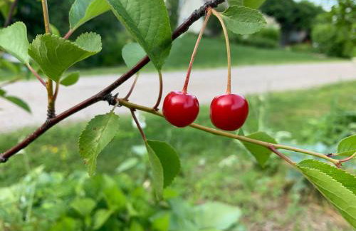 Private 5-Acre Escape - Pool, Lake & Gardens - Foto 14