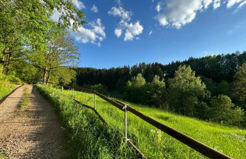 Apartment im Wald - mit Schwimmbad! - Foto 45