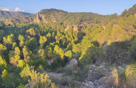 Casa Rural Puente del S,egura - Foto 30