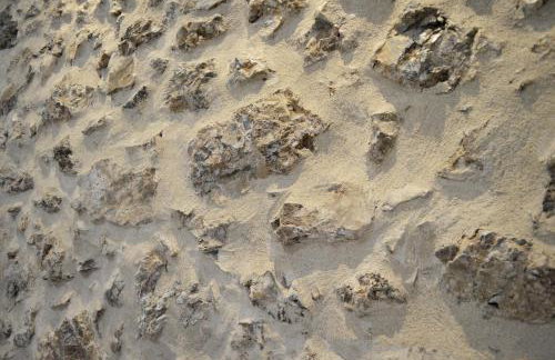 Malvazios Faragnanti #2 - Foto 12