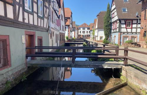 Ferienwohnungen Annweiler am Trifels - Foto 38