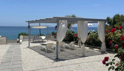 Summer Vibes - Foto 3