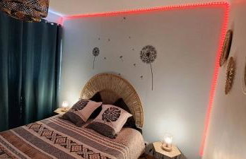 Agréable T2 Classé 3 étoiles, refait à neuf, dans quartier calme - Foto 21