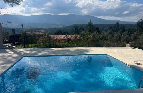 Quinta-lina de serpins - Foto 1