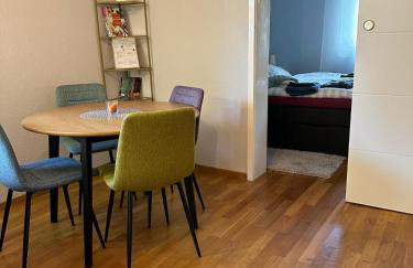 Gemütliches & zentrales Appartement - Foto 8