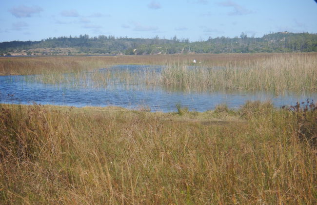 Self catering Mozambique - Photo 25