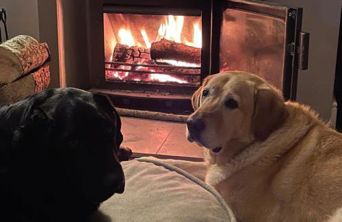 Craig Yr Ronwy - Foto 8