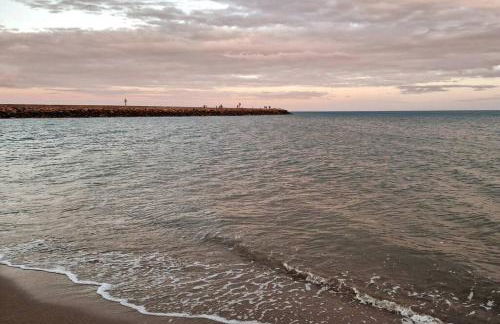 L'horizon bleu -Résidence piscine proximité plage - Foto 28