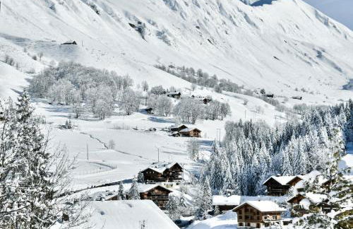 Les Chalets de L'Aiguille C302 - vue montagne - Foto 20