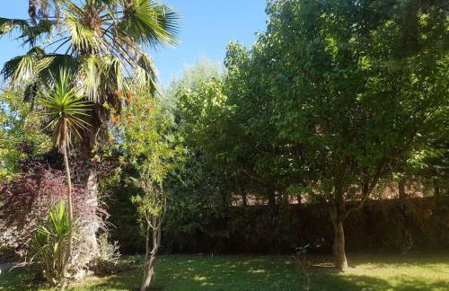 VILLA VICKY - Traditional villa in Evia - Foto 78