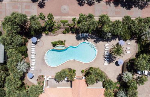 Yellow Bird - Foto 49