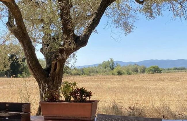 Charming 5-bed Villa in Pitigliano Tuscany - Foto 18